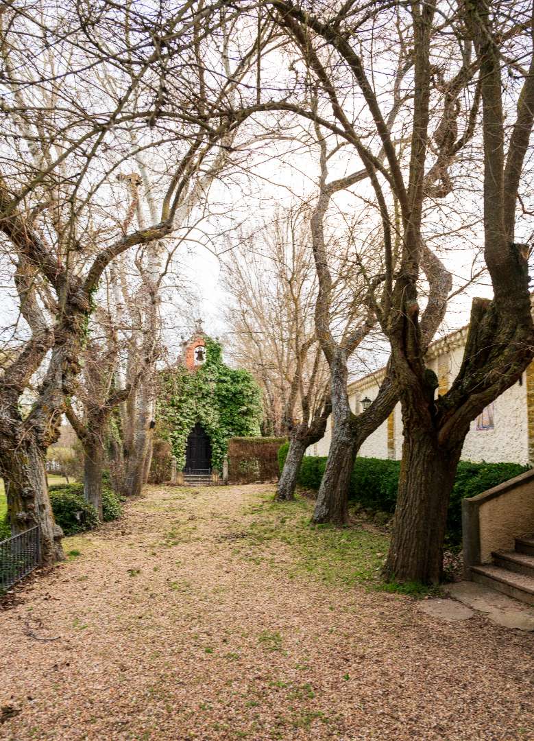 Fotografia asociada al formulario de contacto